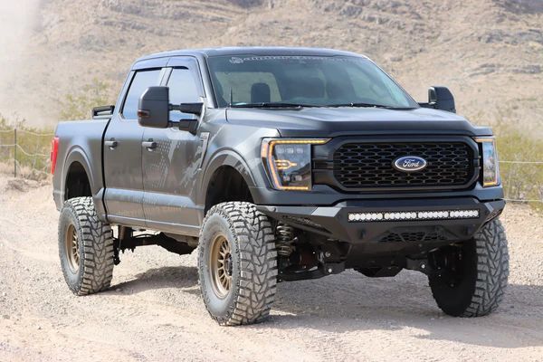 Альтернативна оптика передня на Ford F-150 2021- AlphaRex Nova-Series LED Projector Headlights Black 425421 фото