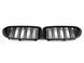 Решетка радиатора на BMW 5 G30, G31 2017-2020 M-Look Black Matt 429095 фото 1