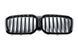 Решетка радиатора на BMW X3 G01, X4 G02 2021- Single Slat ICAM, MSP оригинал 51135A1AC56 423653 фото 3