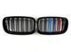 Решітка радіатора на BMW X5 E70 2010-2013 M-color 429909 фото 1