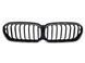 Решітка радіатора на BMW 5 G30, G31 2020-2023 LED Iconic glow 522435 фото 1
