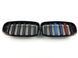 Решітка радіатора на BMW X5 E70 2010-2013 M-color 429909 фото 2