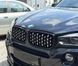 Решітка радіатора на BMW X5 F15, X6 F16 2013-2018 Diamond Chrome Black 355181 фото 2