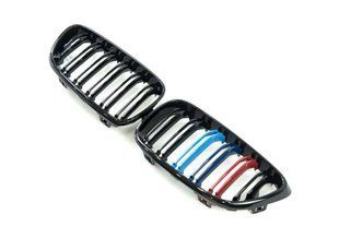 Решітка радіатора на BMW 2 F22, F23 2013-2019 M-color 429016 фото