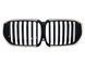 Решітка радіатора на BMW X5 G05 2023- LED Iconic glow 522725 фото 1
