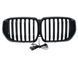 Решітка радіатора на BMW X5 G05 2023- LED Iconic glow 522725 фото 4