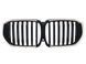 Решетка радиатора на BMW X5 G05 2018-2022 LED Iconic glow 522726 фото 1