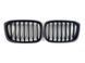 Решітка радіатора на BMW X3 G01 2018-2022 Black Matt 429000 фото 3
