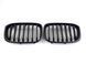Решітка радіатора на BMW X3 G01 2018-2022 Black Matt 429000 фото 1