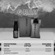 Ароматизатор в авто Hurricane Gray (standart) Аромасаше на дзеркало 522489 фото 2