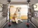 Автомобильная перегородка для собак PetBarrier WeatherTech 60010 97921 фото 2