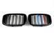 Решітка радіатора на BMW X3 G01 2018-2022 M-color 429021 фото 1