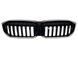 Решетка радиатора на BMW 3 G20, G21 2022- LED Iconic glow 522705 фото 1