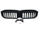 Решетка радиатора на BMW 3 G20, G21 2022- LED Iconic glow 522705 фото 4