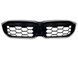 Решітка радіатора на BMW 3 G20, G21 2022- Diamond LED Iconic glow 522707 фото 1