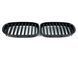 Решетка радиатора на BMW 7 F01, F02 2008-2015 Black V1 428988 фото 2