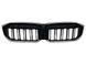 Решетка радиатора на BMW 3 G20, G21 2022- M-look LED Iconic glow 522706 фото 1