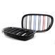 Решетка радиатора на BMW 7 F01, F02 2008-2015 M-Look M-color 355251 фото 7