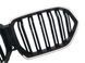 Ноздры Черный глянец LED (Iconic Glow) 2bar на BMW X6 G06 2019-2022 года 522731 фото 3