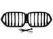 Решітка радіатора на BMW X6 G06 2023- LED Iconic glow 522733 фото 4