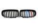 Решетка радиатора на BMW X1 E84 2009-2015 M-color 429010 фото 2
