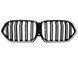 Ноздры Черный глянец LED (Iconic Glow) 2bar на BMW X6 G06 2023-2024 года 522735 фото 1