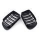 Решетки радиатора ноздри BMW 3 E46 1998-2002 Coupe 360Parts 355210 355210 фото 3