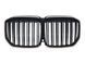 Ноздры Черный глянец LED (Iconic Glow) 2bar на BMW X7 G07 2018-2022 года 522736 фото 1