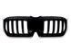 Решетка радиатора на BMW X1 U11 2022- LED Iconic glow 522721 фото 1
