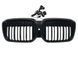Решетка радиатора на BMW iX3 G08 2022- LED Iconic glow С 522722 фото 4