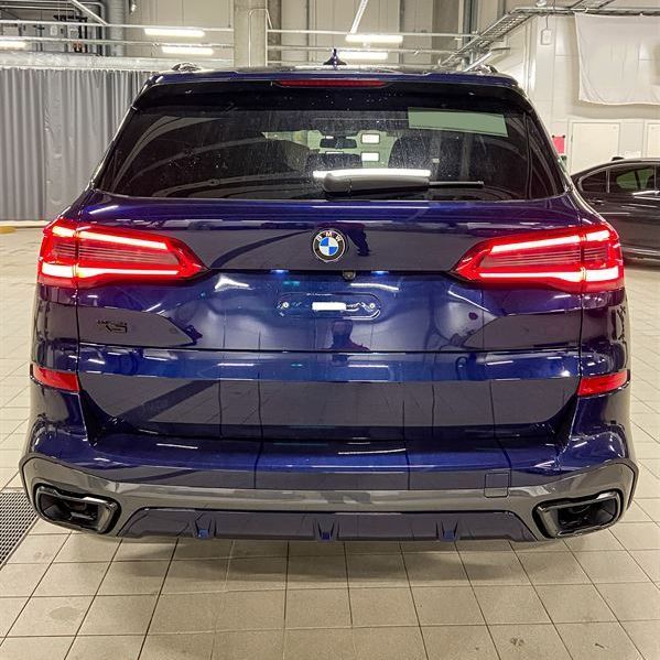 Насадки на вихлоп для BMW X5 G05, X6 G06, X7 G07 2018- Black під M-Sport Paket оригінал 18302464503 423422 фото