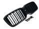 Решетка радиатора на BMW X3 G01 2022-2024 LED Iconic glow 522728 фото 5