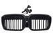 Решетка радиатора на BMW iX3 G08 2022- LED Iconic glow 0 522723 фото 4
