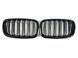 Ноздри Черный глянец (Двойные M-Look) на BMW X5 E70 2010-2013 429036 фото 1