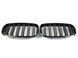 Ноздри Черный глянец (Двойные M-Look) на BMW X5 E70 2010-2013 429036 фото 2