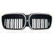 Решетка радиатора на BMW iX3 G08 2022- LED Iconic glow 0 522723 фото 1