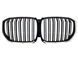 Решітка радіатора на BMW X5 G05 2018-2022 M-look LED Iconic glow 522730 фото 1