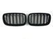 Ноздри Черный мат (Двойные M-Look) на BMW X5 E70 2010-2013 429072 фото 1