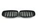 Ноздри Черный мат (Двойные M-Look) на BMW X5 E70 2010-2013 429072 фото 2