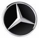 Емблема в решітку радіатора Mercedes G-Class W464 Chrom 521968 фото 1