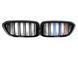 Решітка радіатора на BMW 5 G30, G31 2017-2020 M-Look M-color 429024 фото 2