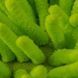 Рукавичка Chemical Guys Chenille Microfiber Car Wash Mitt Green з довгим ворсом 408824 фото 3
