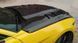 Карбоновый капот на Ford Mustang 2015-2022 AC Style Carbon 424270 фото 2