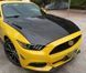 Карбоновый капот на Ford Mustang 2015-2022 AC Style Carbon 424270 фото 4