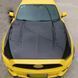 Карбоновый капот на Ford Mustang 2015-2022 AC Style Carbon 424270 фото 1