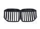 Решетка радиатора на BMW X7 G07 2022- Black 428993 фото 3