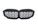 Решітка радіатора на BMW 1 F40, F41 2019-2023 Diamond Black 429102 фото 1