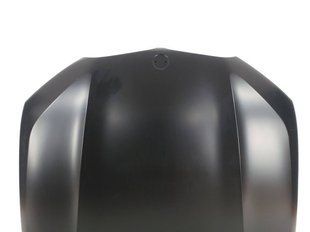 Капот (Алюминий+герметик) на BMW X5 G05 2018-2022 429384 фото