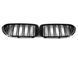 Решетка радиатора на BMW 5 G30, G31 2017-2020 M-Look Black 429067 фото 1