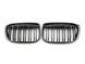 Решетка радиатора на BMW X1 F48 2015-2019 аквапринт под карбон 355211 фото 1